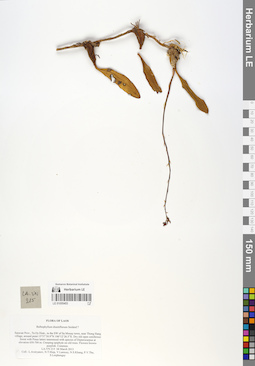 LE 01055453