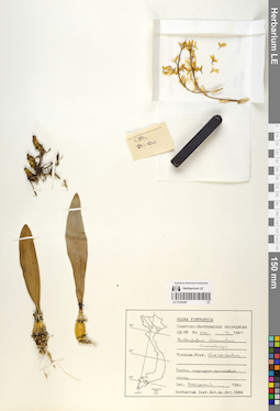 LE 01055487