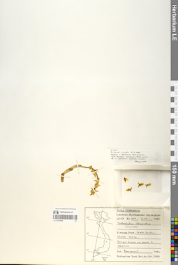 LE 01055489
