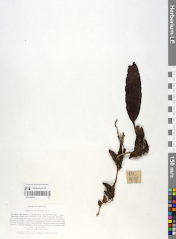 LE 01055714