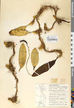 LE 01055741