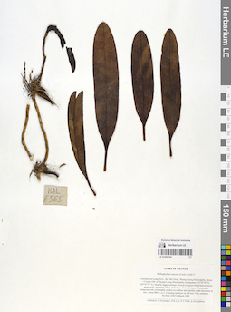 LE 01055765