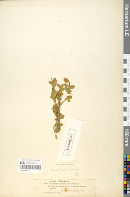 LE 01056013