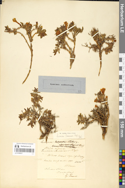 LE 01056037