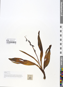 LE 01055875