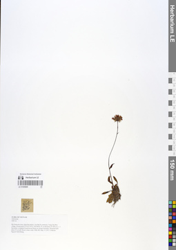 LE 01055895