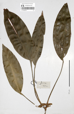 LE 01058148