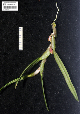 LE 01058151