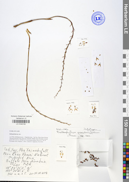 LE 01042152