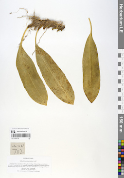 LE 01055778