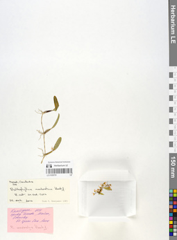 LE 01055791