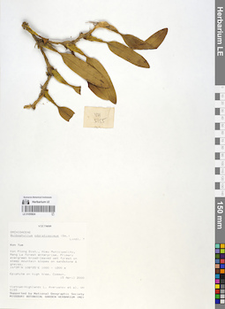 LE 01055824