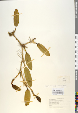 LE 01055828