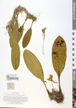 LE 01055844