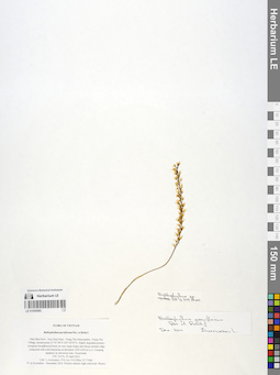 LE 01055990