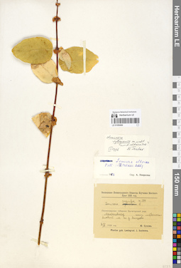 LE 01056484