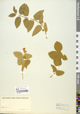 LE 01056574