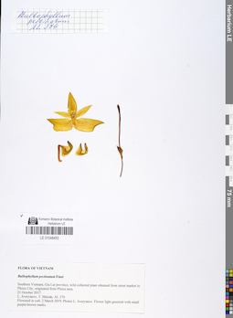 LE 01048453