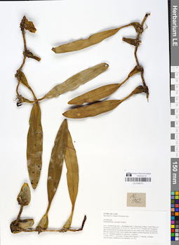 LE 01048775