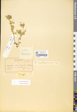 LE 01052508