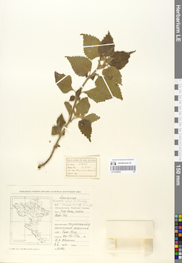 LE 01055939
