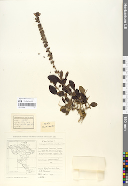 LE 01055940