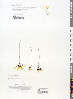 LE 01057721
