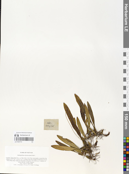 LE 01057731