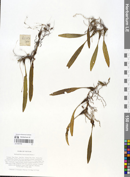 LE 01057780