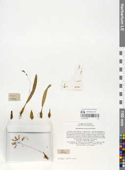 LE 01057792