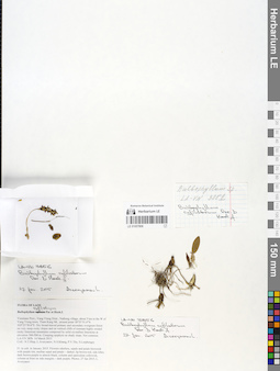 LE 01057806