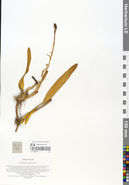 LE 01057811