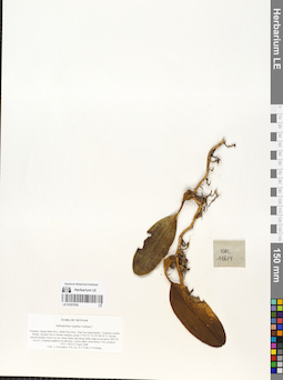 LE 01057836