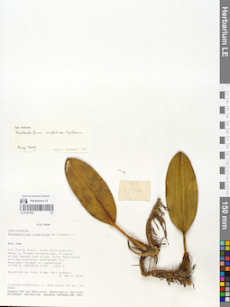 LE 01057840