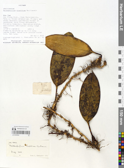 LE 01057841