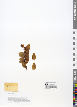 LE 01057895
