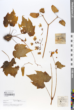 LE 01057897
