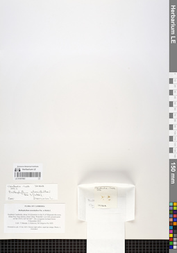 LE 01057883