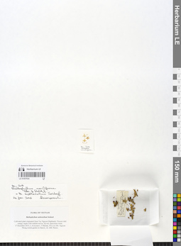 LE 01057934