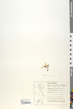 LE 01057950