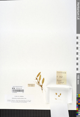 LE 01057952