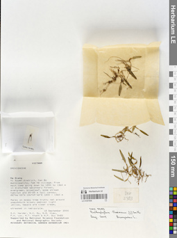 LE 01057954