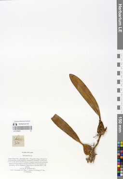LE 01058231