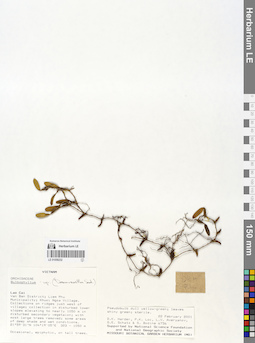 LE 01058232