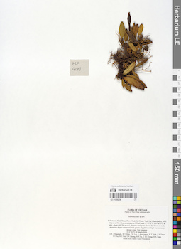 LE 01058236