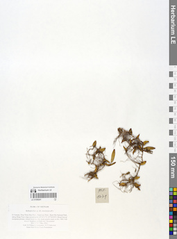 LE 01058241
