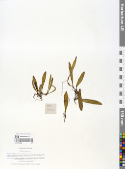 LE 01058248