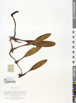 LE 01058250