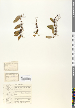 LE 01058258