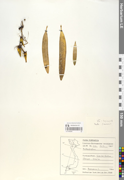LE 01058259